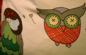 two owl close up