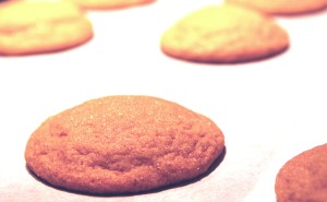 Evelyn Raab's Soft Ginger Cookies