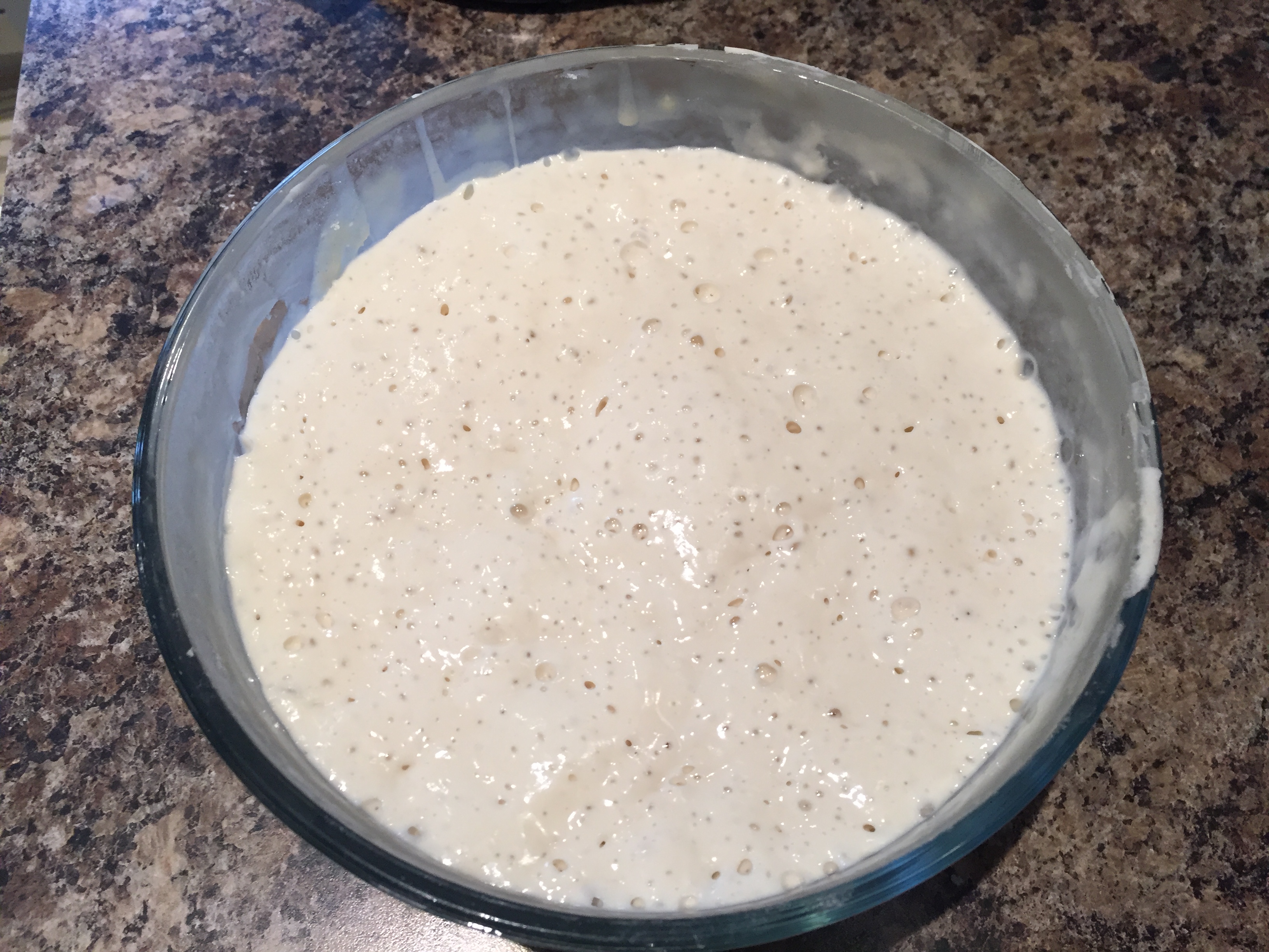 Sourdough Starter
